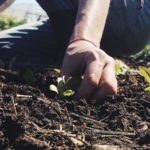 Leren moestuinieren